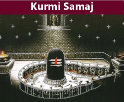 Category Image