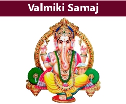 Category Image