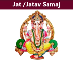 Category Image